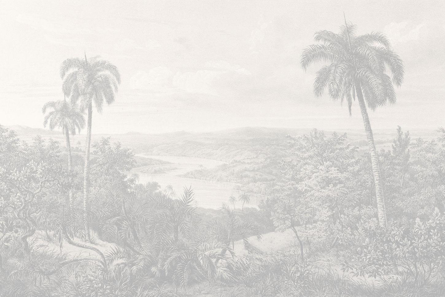 South American Nature Wall Mural-Wall Mural-Eazywallz