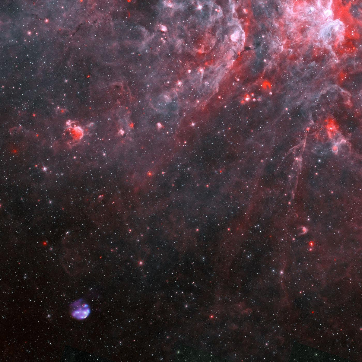 Southern Centaurus Wall mural | Space Wallpaper Murals | EazyWallz