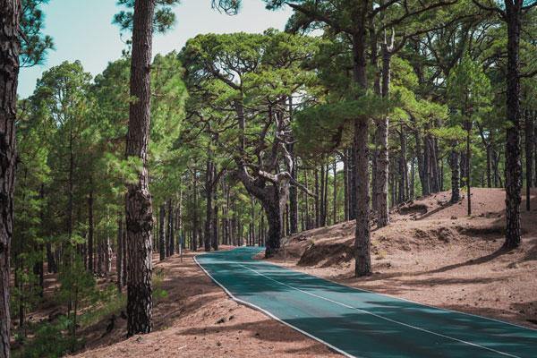 Summer Time Road Wall Mural-Wall Mural-Eazywallz