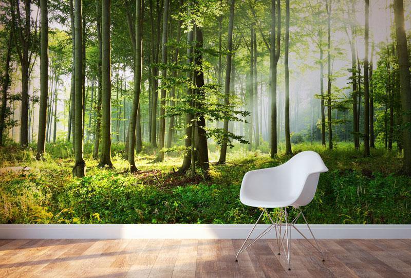 Sunny Morning Forest Wall Mural-Wall Mural-Eazywallz