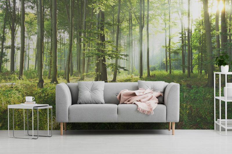 Sunny Morning Forest Wall Mural-Wall Mural-Eazywallz
