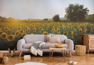 Sunny Sunflowers Wall Mural-Wall Mural-Eazywallz