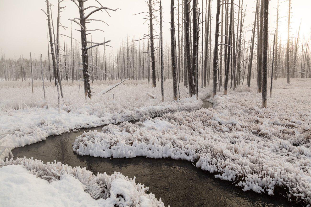 Sunrise at Tangled Creek Mural Wallpaper-Wall Mural-Eazywallz