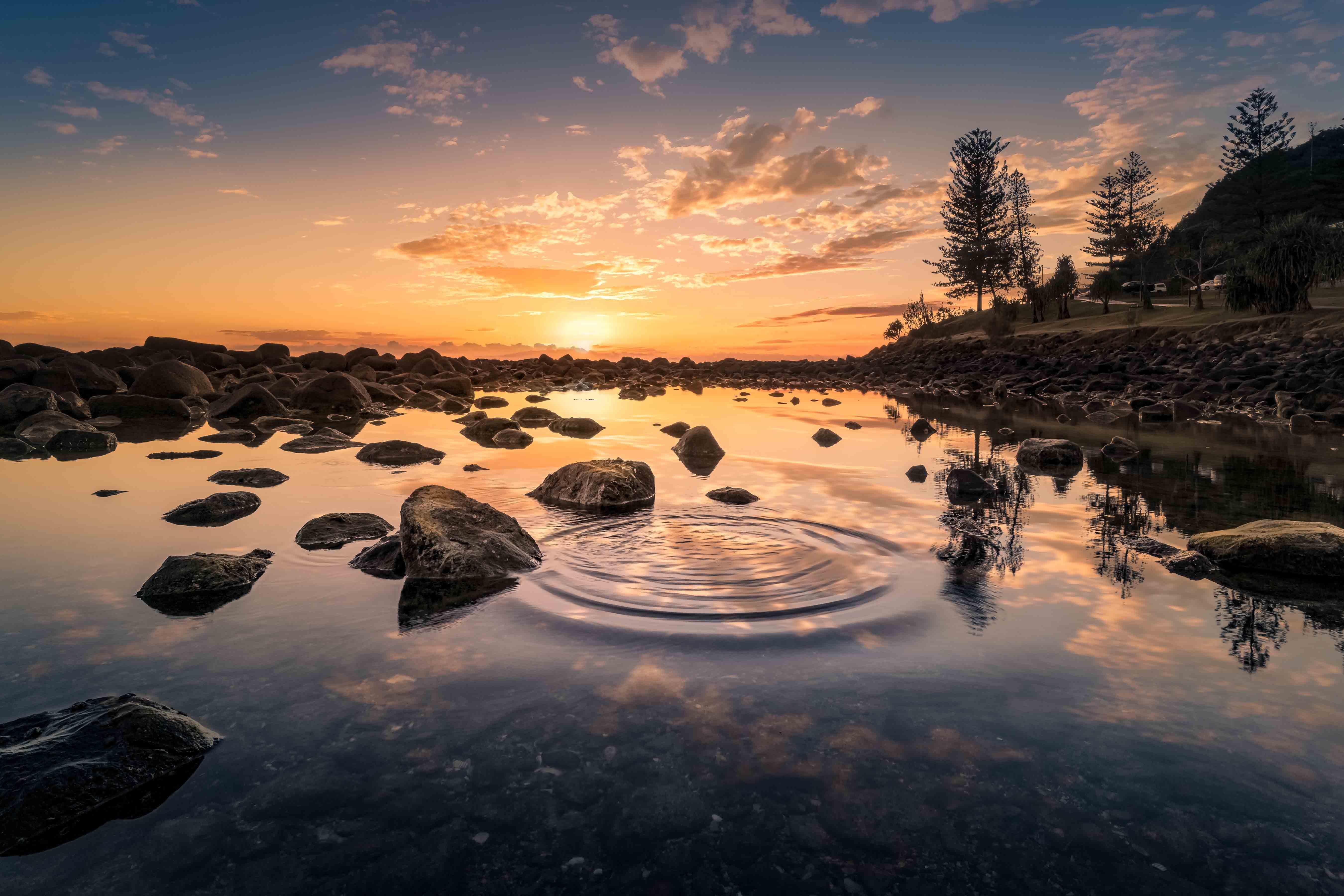 Sunrise at the Coast Wall Mural-Wall Mural-Eazywallz