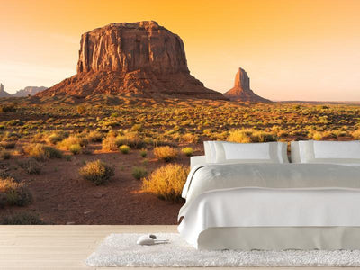 Sunset at the Monument Valley, USA Wall Mural-Wall Mural-Eazywallz