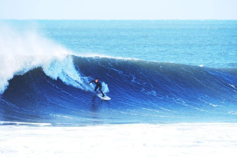 Surfing the Wave Wall Mural-Wall Mural-Eazywallz