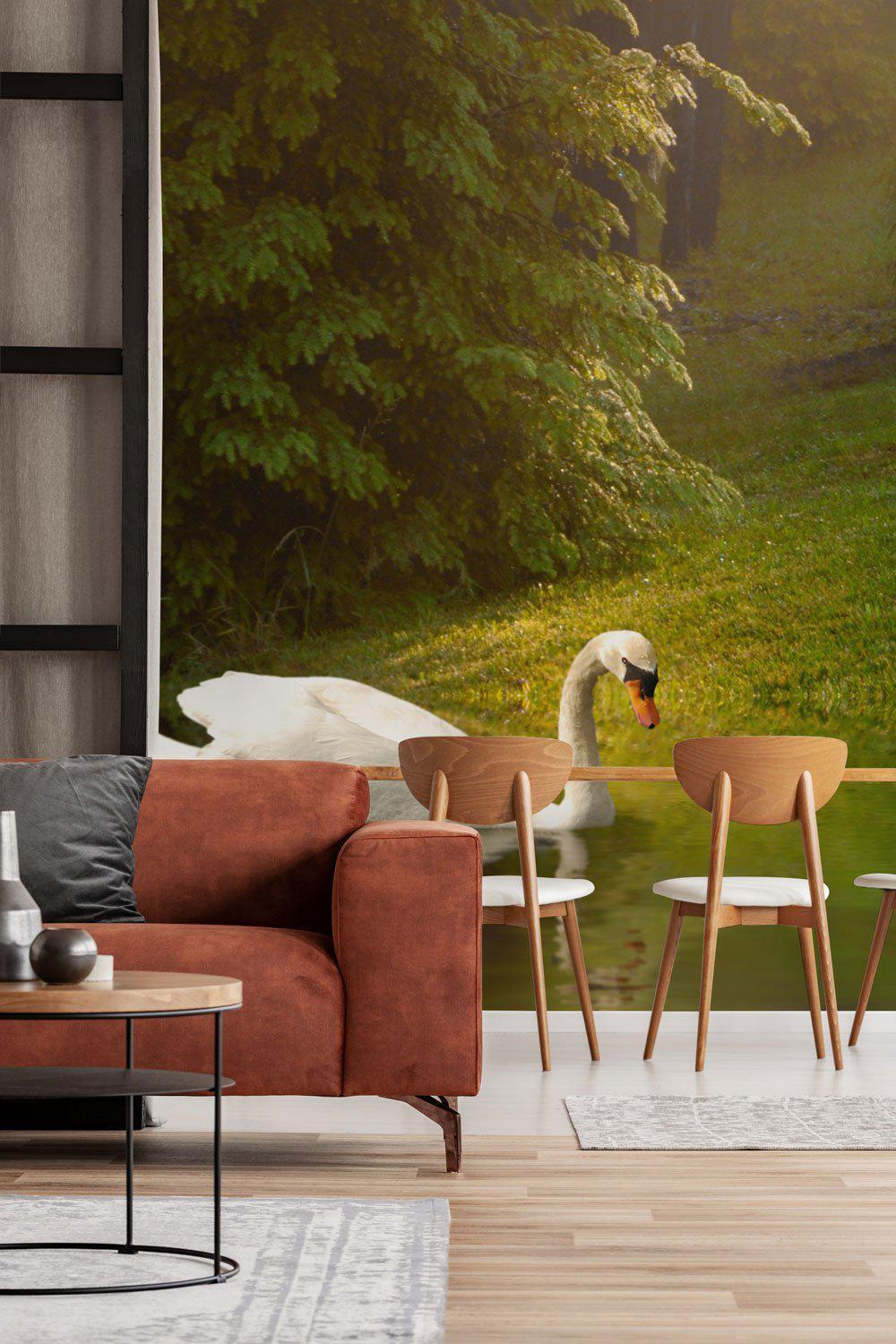 Swan on the lake Wall Mural-Wall Mural-Eazywallz