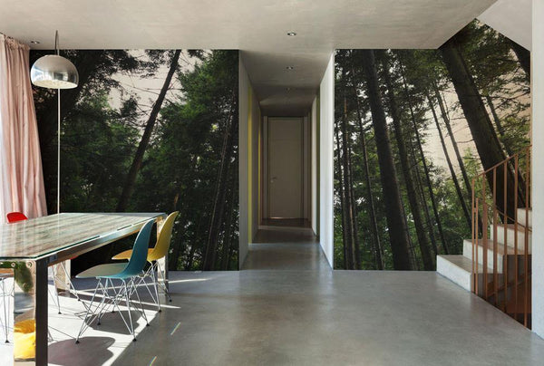 Tall Tree Forest Wall Mural | Eazywallz Wall Art