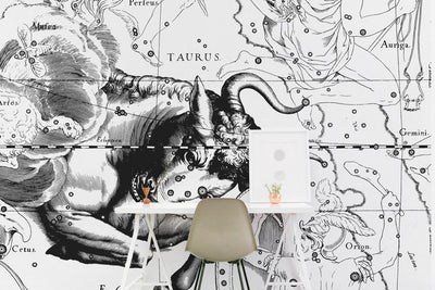 Taurus Constellation Map Wall Mural-Wall Mural-Eazywallz