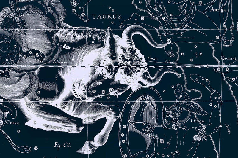 Taurus Constellation Map in Navy Wall Mural | Eazywallz