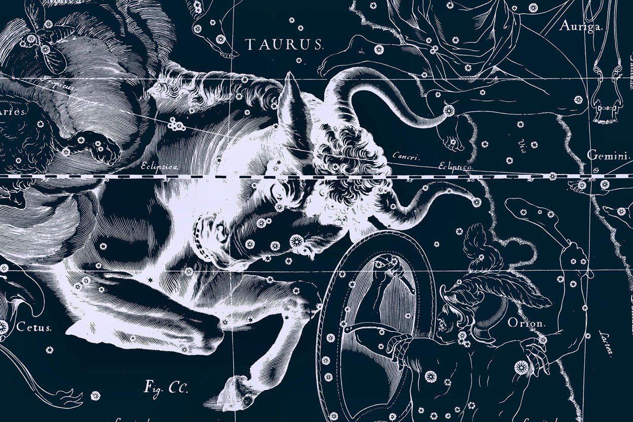 Taurus Constellation Map in Navy Wall Mural-Wall Mural-Eazywallz