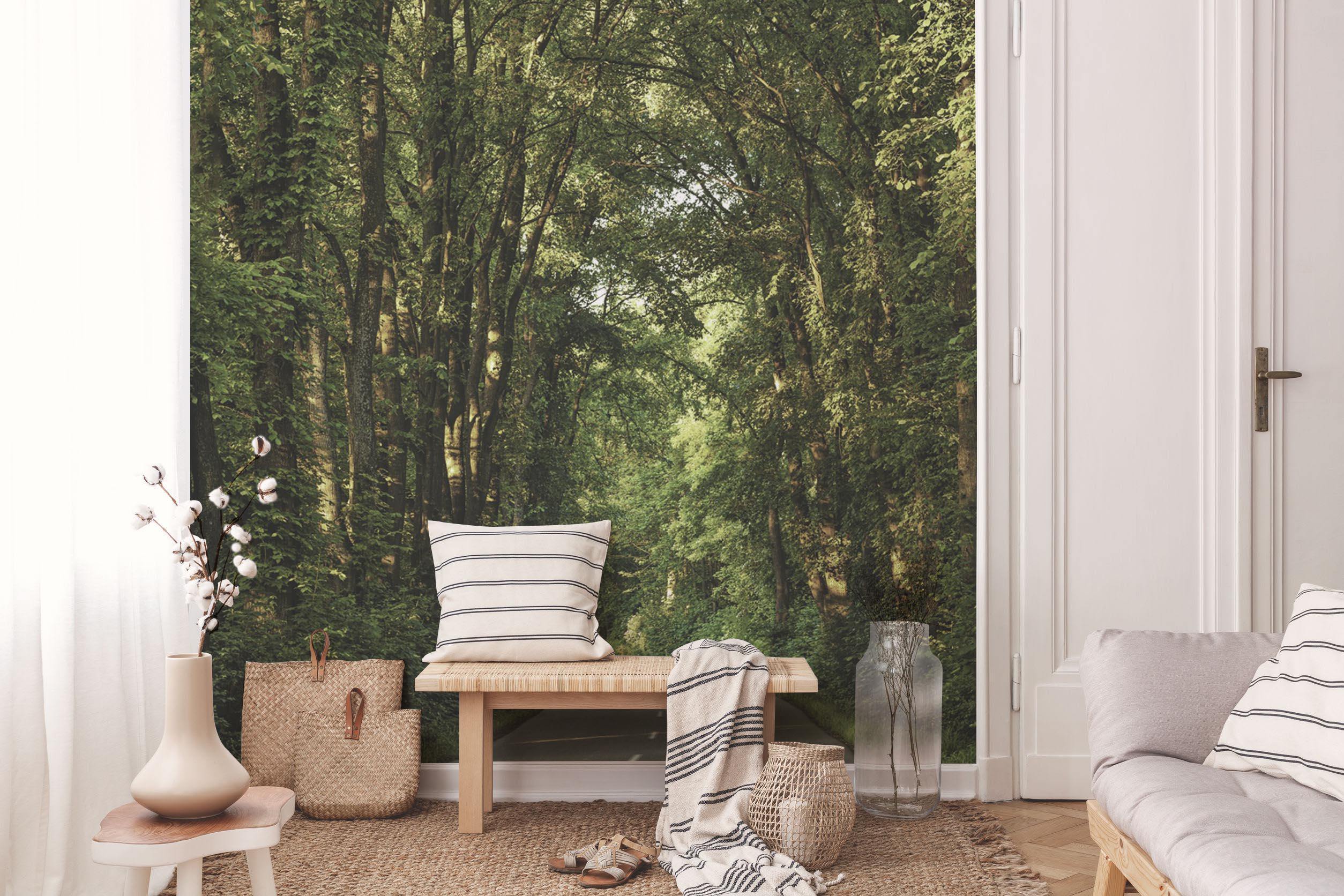 Tennessee Forest Road Wall Mural-Wall Mural-Eazywallz