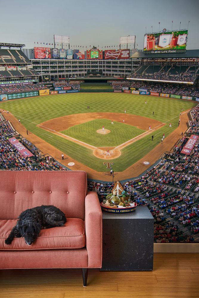 Texas Baseball Stadium Wall Mural-Wall Mural-Eazywallz