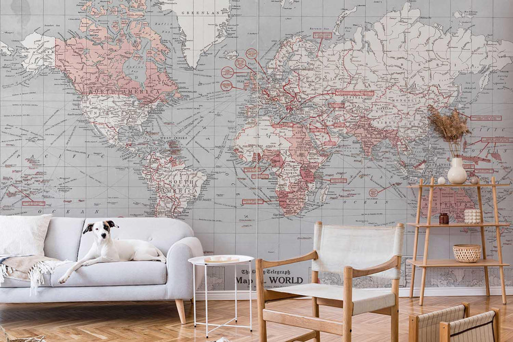 The Daily Map of the World Wall Mural - World Map Murals - Eazywallz