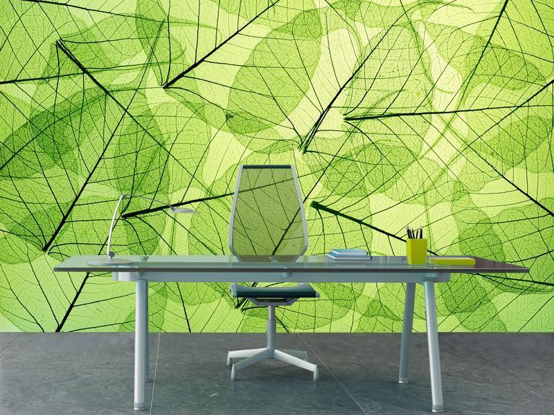 Transparent green leaves Wall Mural-Wall Mural-Eazywallz
