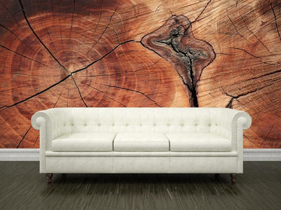 Tree ring texture Wall Mural-Wall Mural-Eazywallz