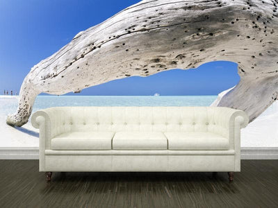 Tree trunk on the white sand Wall Mural-Wall Mural-Eazywallz