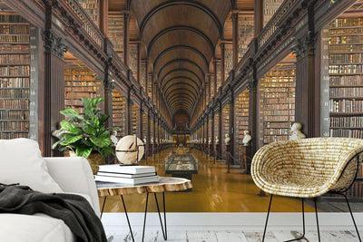 Trinity College Library Wall Mural-Wall Mural-Eazywallz