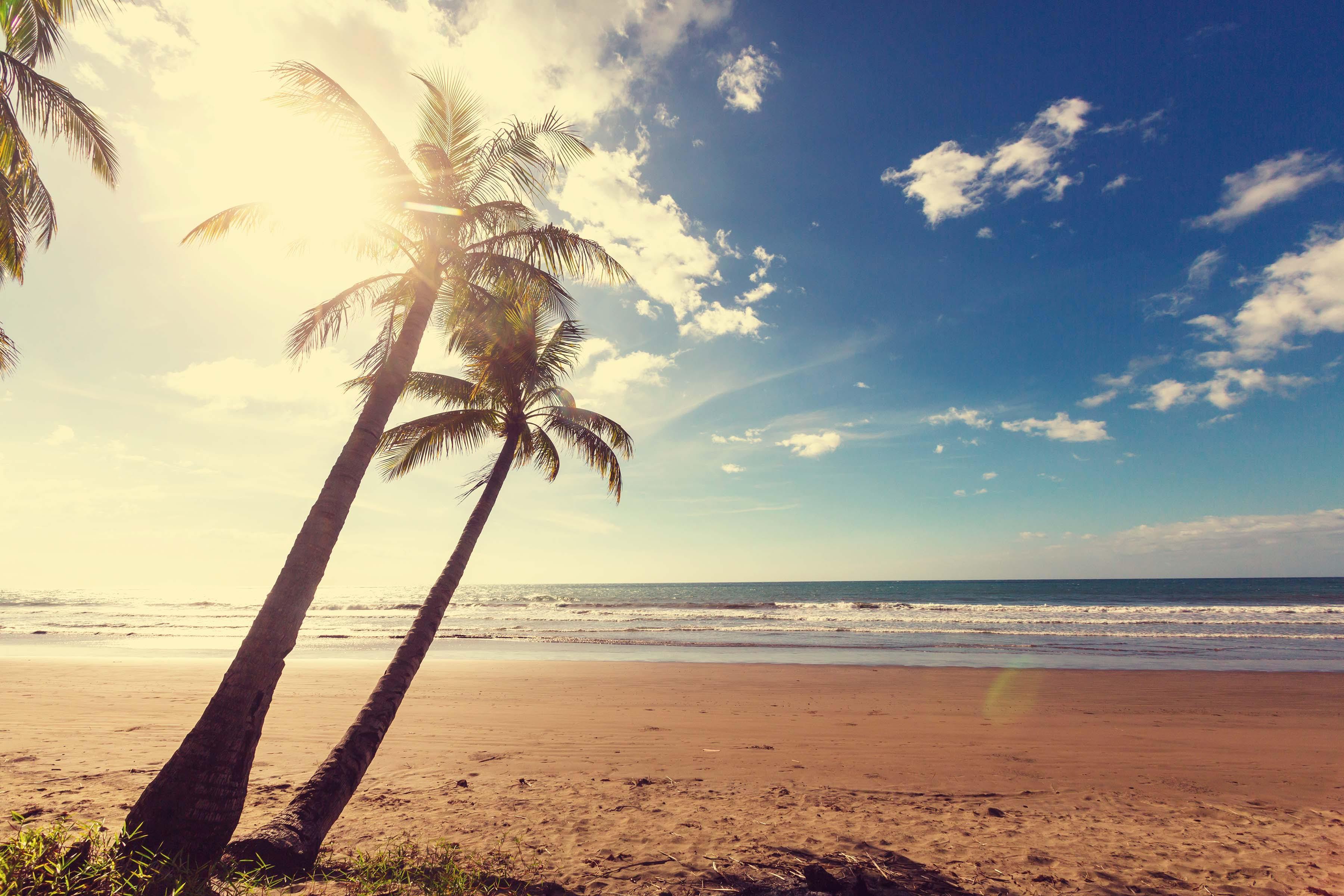 Tropical Beach 3 Wall Mural-Wall Mural-Eazywallz