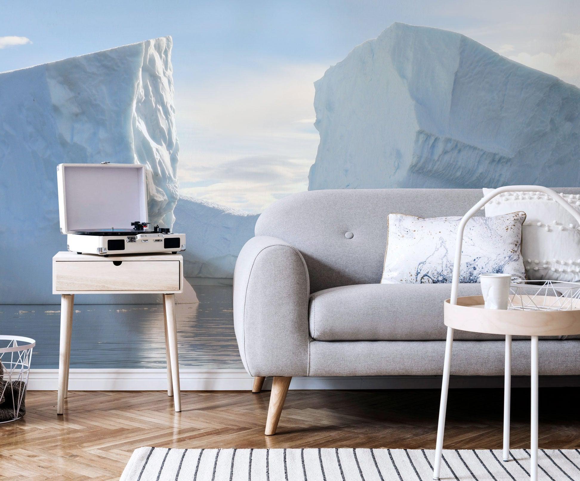 Two big icebergs Wall Mural | Winter Wall Murals | Eazywallz