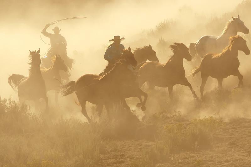 Two cowboys galloping Wall Mural-Wall Mural-Eazywallz