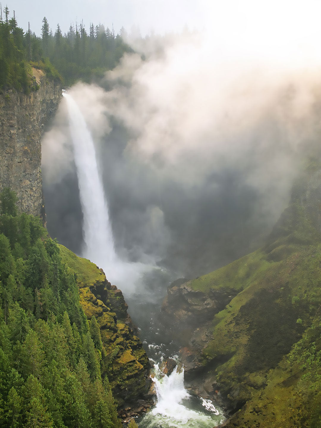 Forest Waterfall Wall Mural