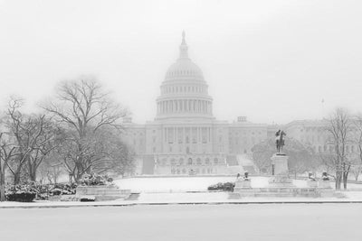 U.S. Capitol in Winter, USA Wall Mural-Wall Mural-Eazywallz