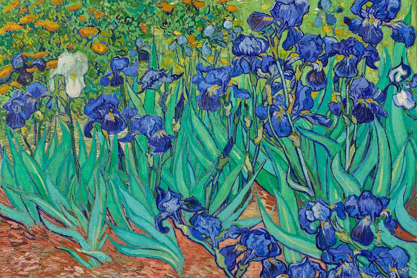 Van Gogh Irises Wall Mural-Wall Mural-Eazywallz