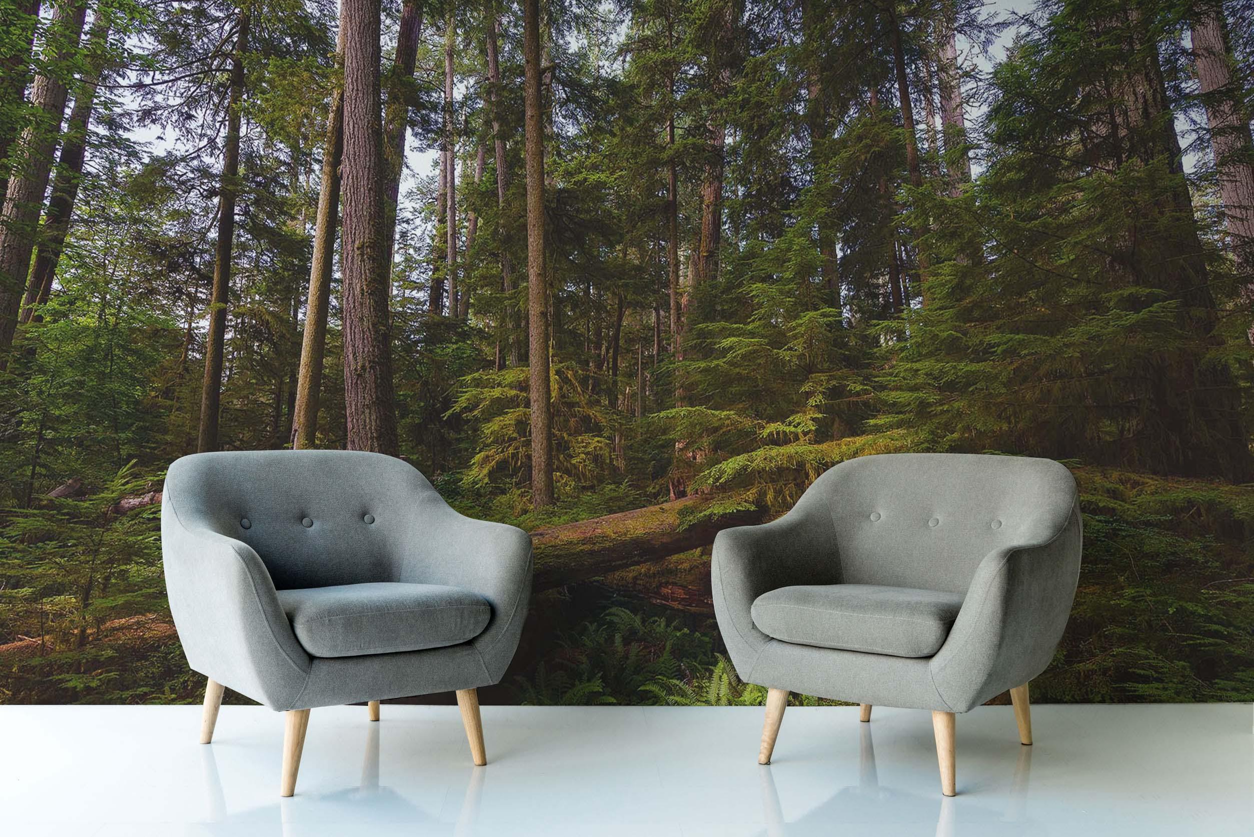 Vancouver Island Forest Wall Mural-Wall Mural-Eazywallz