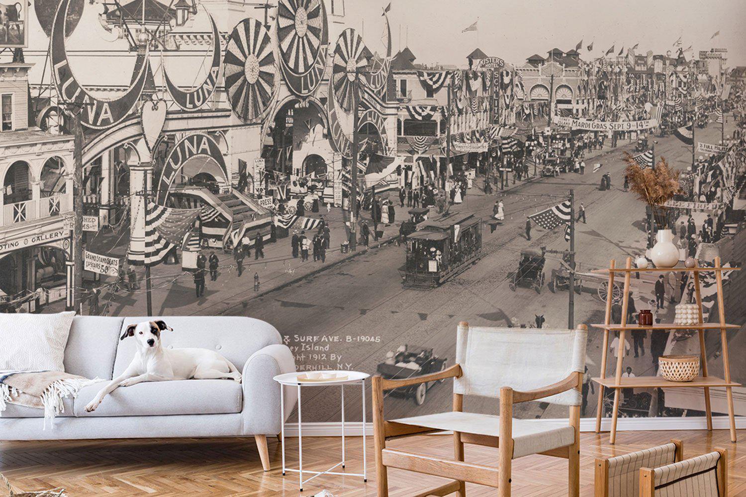 Vintage Coney Island, NY Wall Mural-Wall Mural-Eazywallz