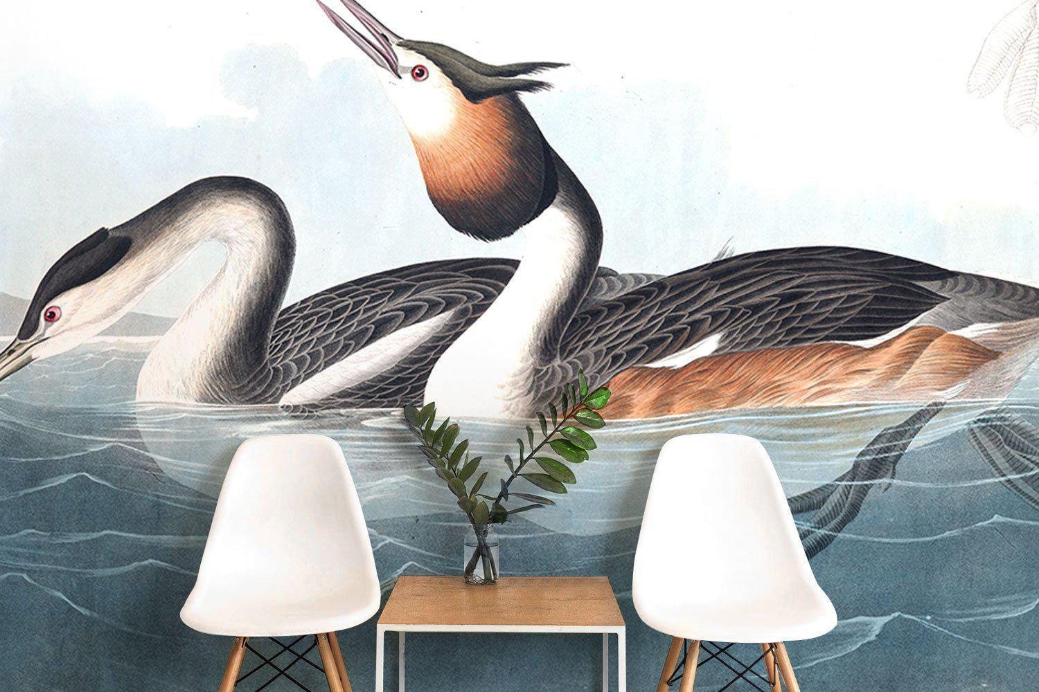 Vintage Crested Ducks Wallpaper Mural-Wall Mural-Eazywallz