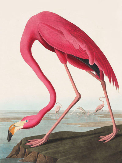 Vintage Flamingo Painting Wall Mural-Wall Mural-Eazywallz