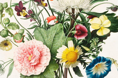 Vintage Floral Lux Wallpaper Mural-Wall Mural-Eazywallz