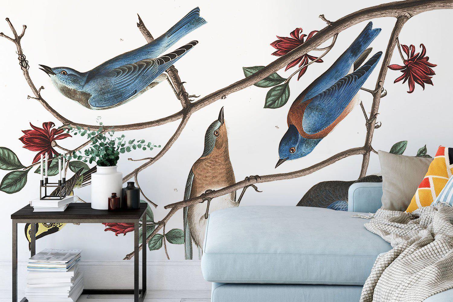 Vintage Warbler Bird Wall Mural-Wall Mural-Eazywallz