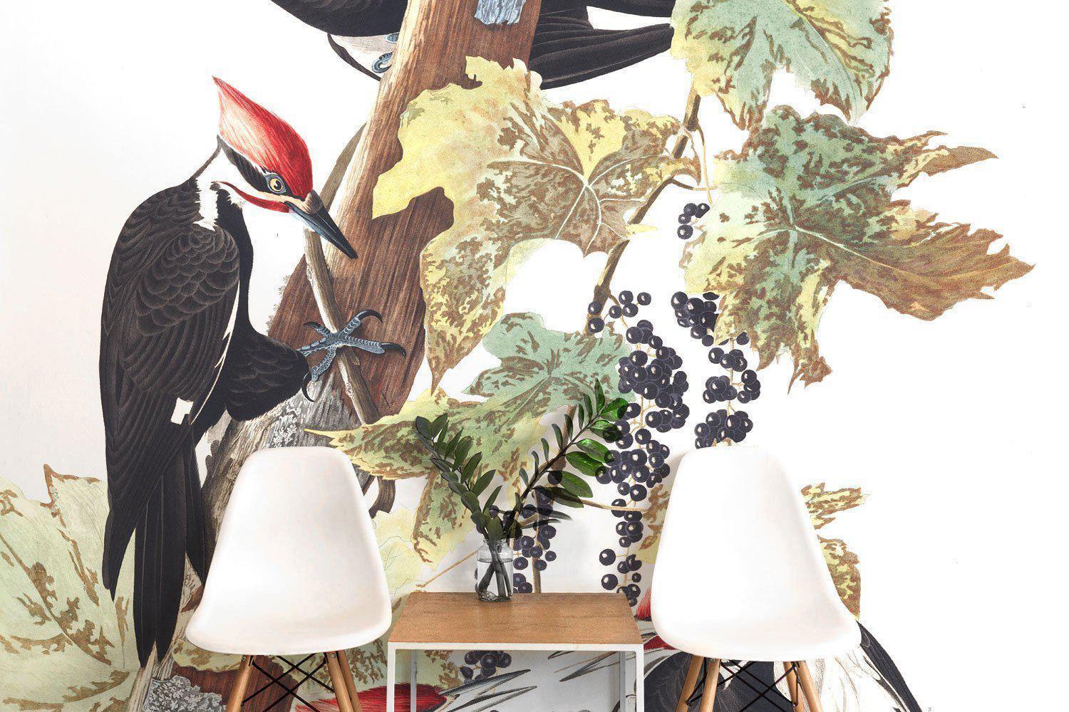 Vintage Wood Pecker Wall Mural-Wall Mural-Eazywallz