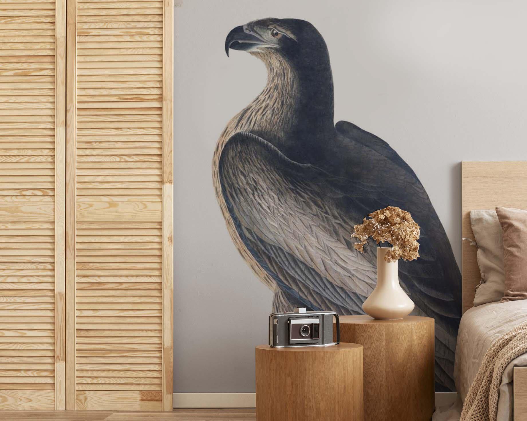 Washington Eagle Wall Mural-Wall Mural-Eazywallz