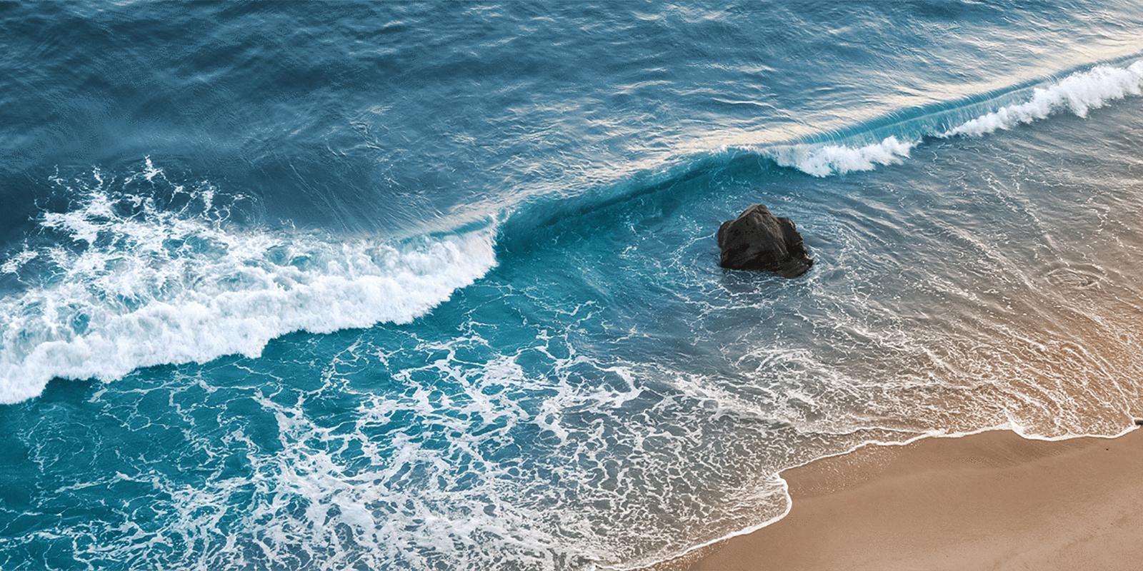 Wave Breaking in California Wall Mural-Wall Mural-Eazywallz