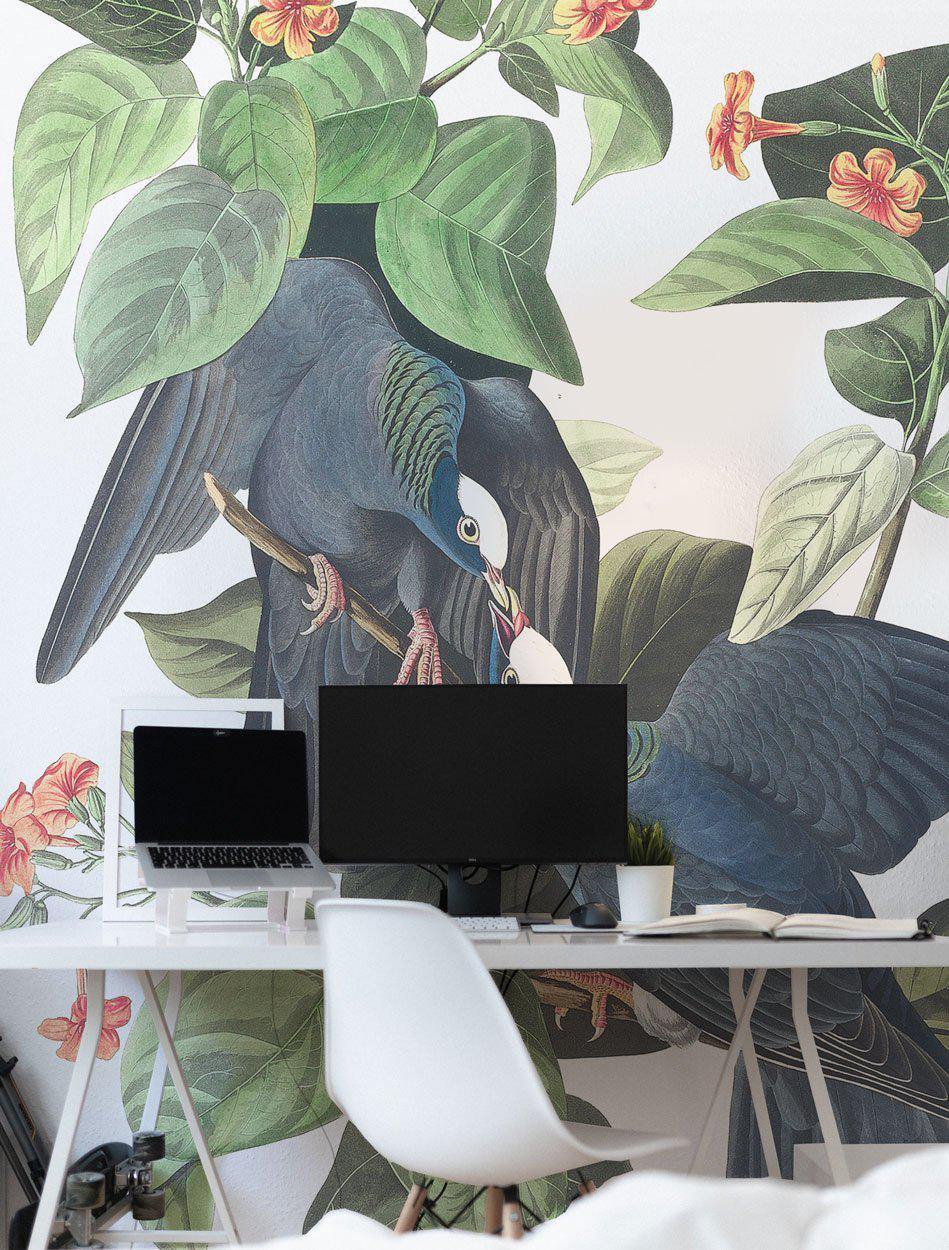 White Crowned Pigeons Wall Mural-Wall Mural-Eazywallz
