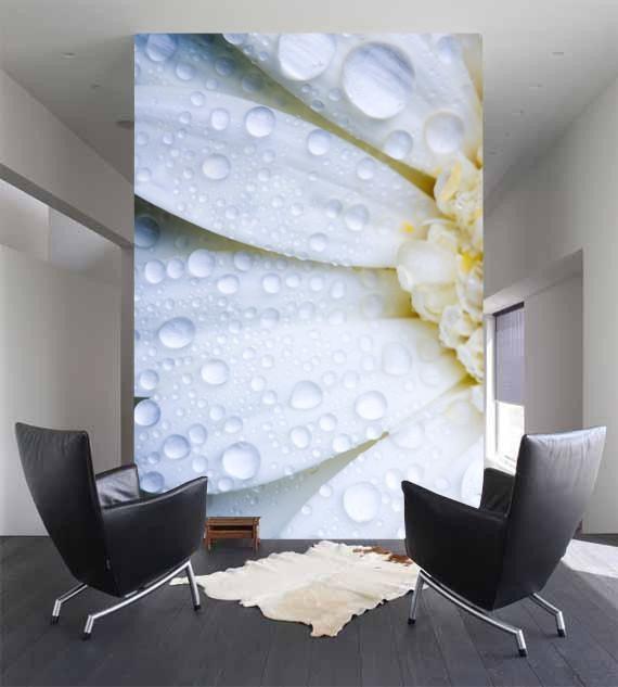 White Daisy with Water Droplets Wall Mural-Wall Mural-Eazywallz