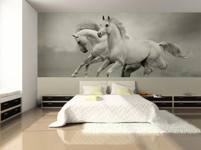 White Horses in the Summer Wall Mural-Wall Mural-Eazywallz