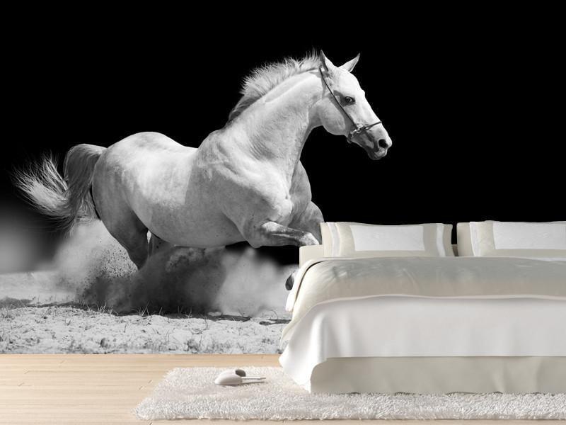 White Stallion Wall Mural-Wall Mural-Eazywallz