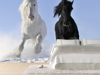 White and black horses Wall Mural-Wall Mural-Eazywallz