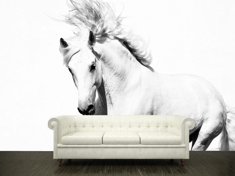 White horse Wall Mural-Wall Mural-Eazywallz