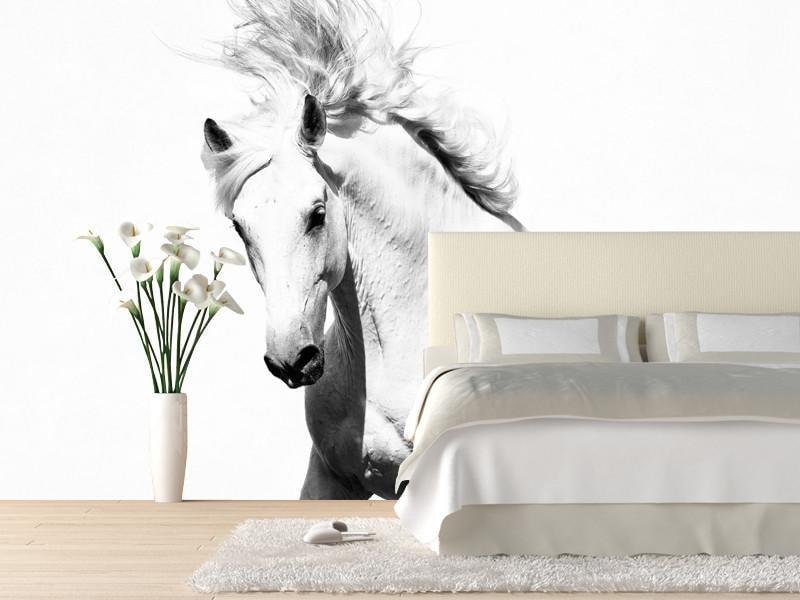 White horse Wall Mural-Wall Mural-Eazywallz