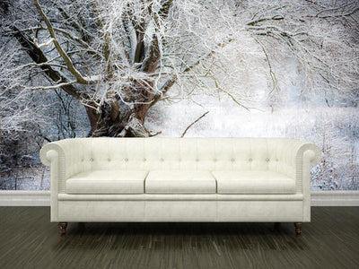 Willow tree in winter Wall Mural-Wall Mural-Eazywallz