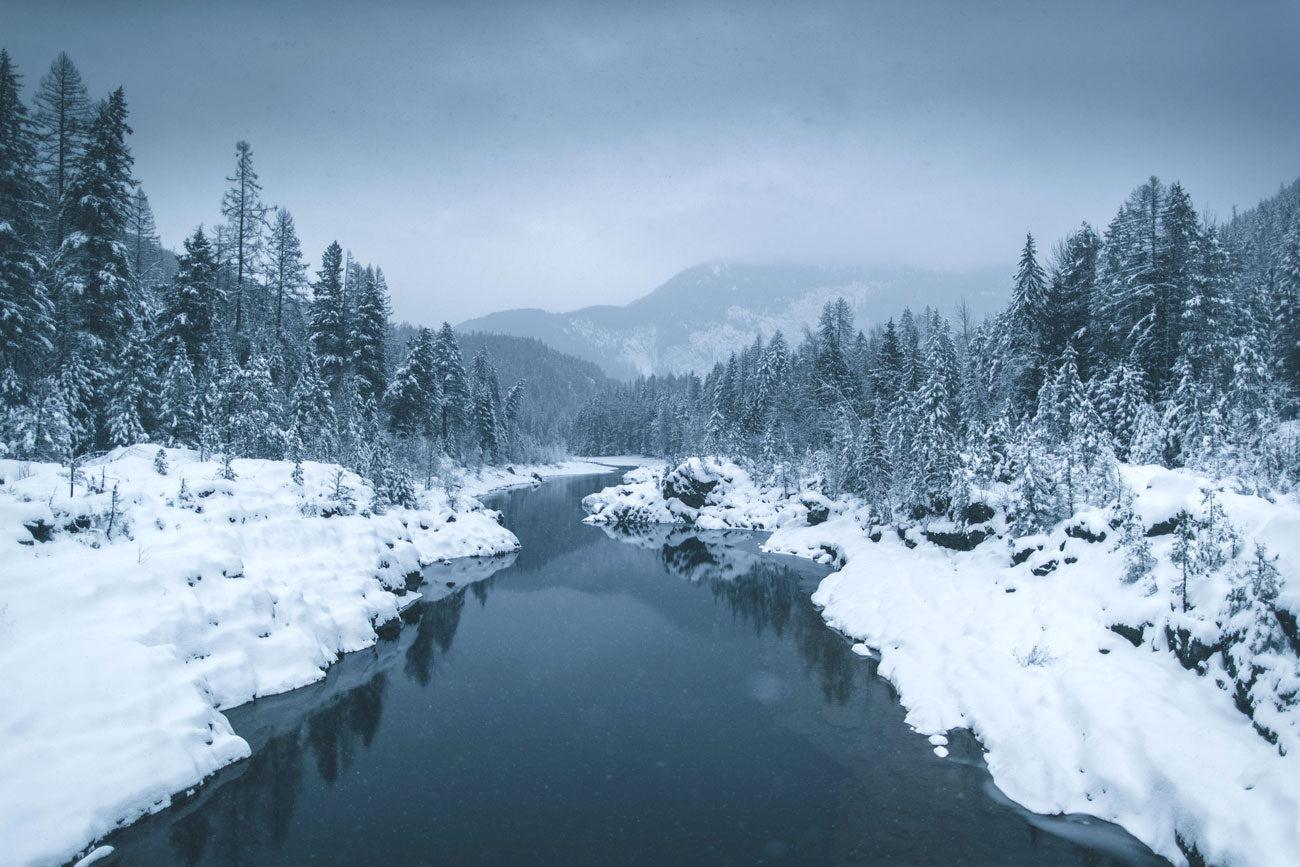 Winter in Montana Wall Mural-Wall Mural-Eazywallz