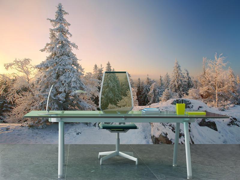 Winter landscape Wall Mural-Wall Mural-Eazywallz