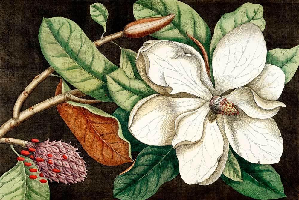 Yellow Lilly Wallpaper Mural-Wall Mural-Eazywallz