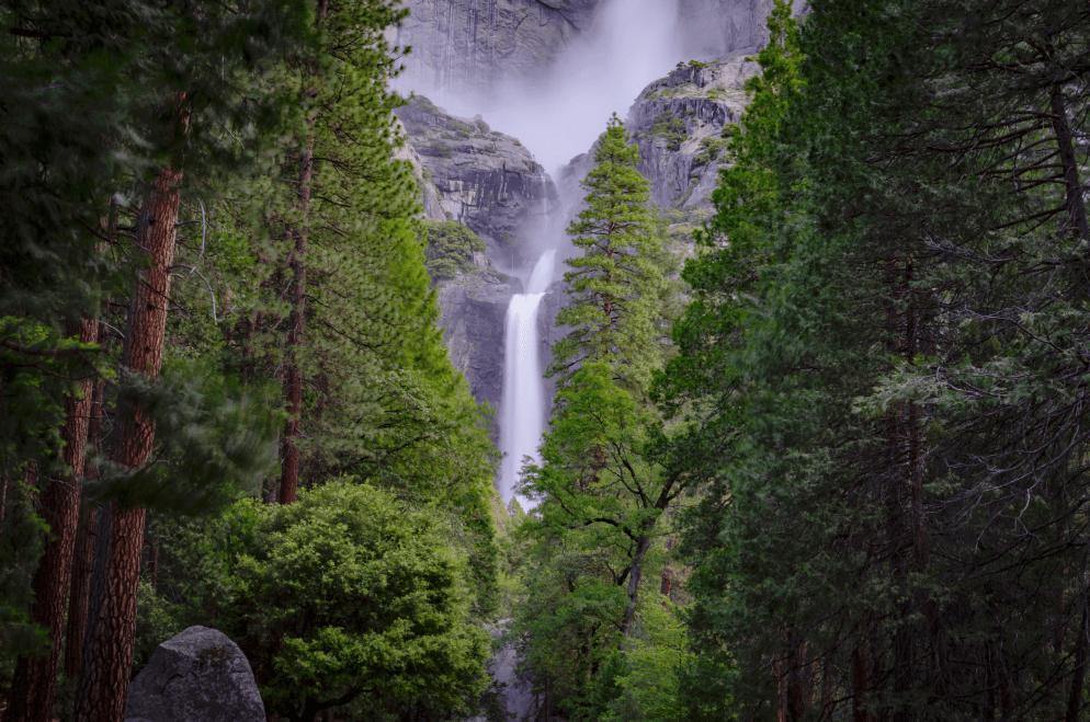 Yosemite Valley Wall Mural-Wall Mural-Eazywallz