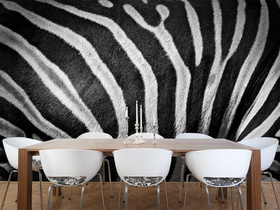 Zebra stripes Wall Mural-Wall Mural-Eazywallz